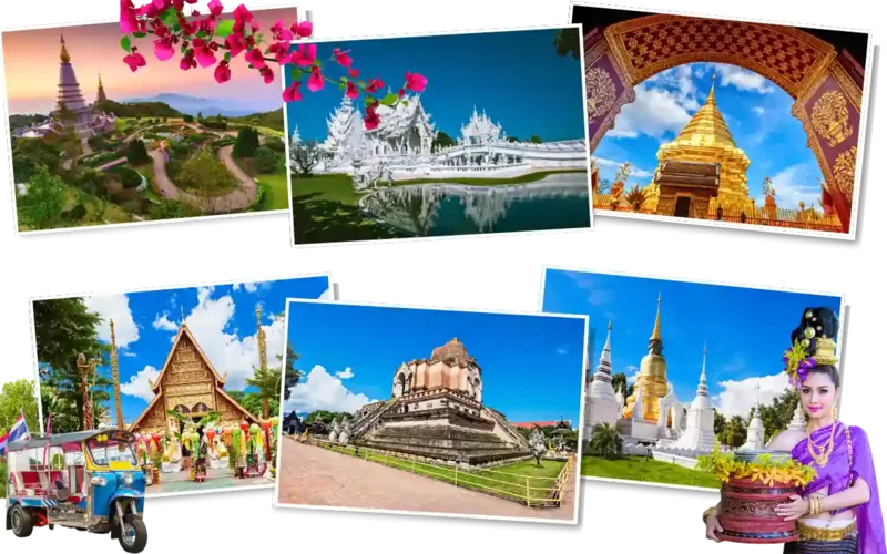 Золотой Треугольник «МАКСИМУМ»