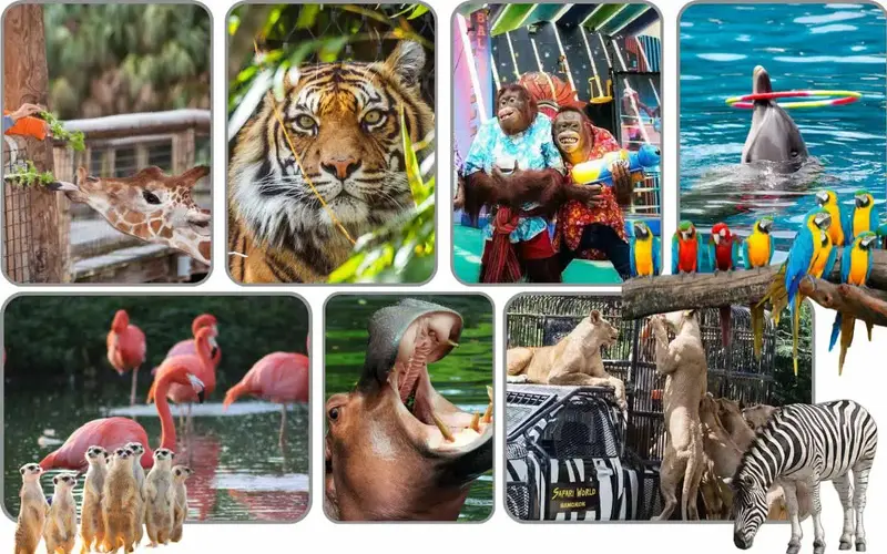 Safari World Bangkok